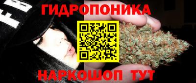 ГАЛЛЮЦИНОГЕННЫЕ ГРИБЫ Моздок