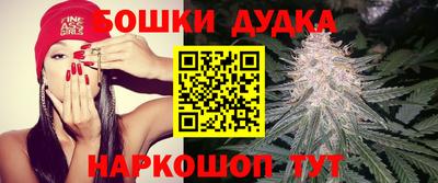 кокс Можайск