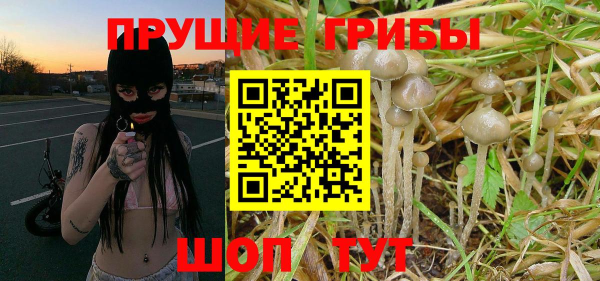 Псилоцибиновые грибы Cubensis  Вход с VPN  Псилоцибиновые грибы GOLDEN TEACHER  Новый Уренгой 